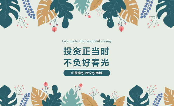 孝義唯一大產(chǎn)權(quán)的農(nóng)批商鋪，投資有保障！